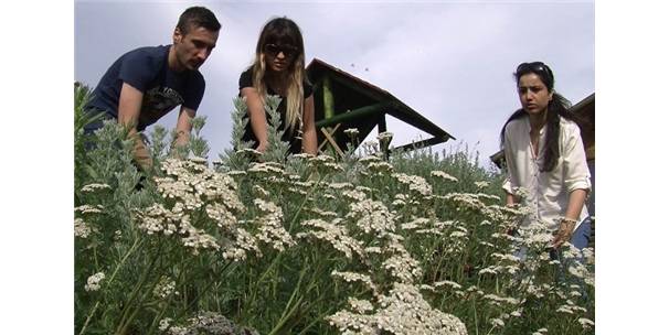 KAZDAĞLARI BİLİM KÖYÜ ÖDEVLERE DE KONU OLUYOR