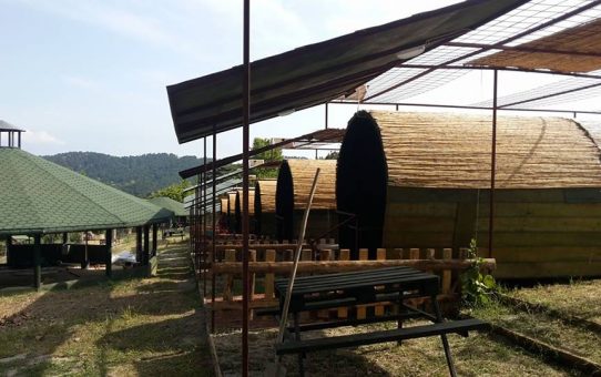 Temmuz 2017 Doğa Kaşifleri Kayıtları Başladı!