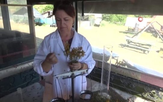 Osmanlı ordusunun savaşırken yanında taşıdığı iksir: Kantaron yağı